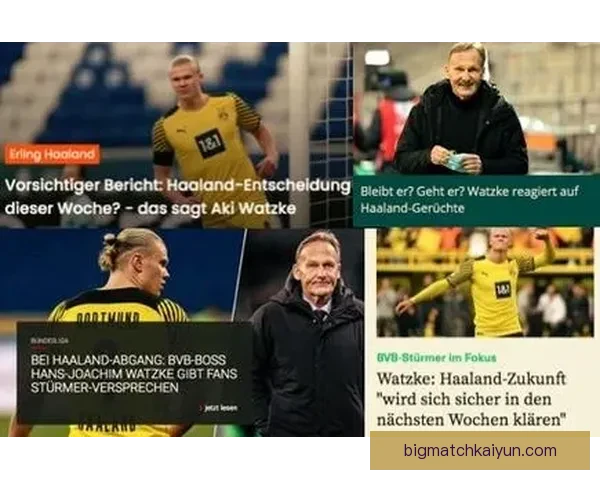 德甲夏季转会窗口球员流动情况与各队引援策略分析